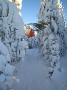 Rastit sijaitsevat urilla - vahingossa ei niitä pääse sivuuttamaan.